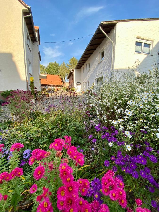 Ferienwohnung Riese Nordhessen Felsberg Exteriör bild
